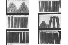 Slide36