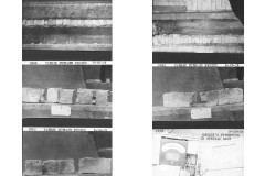 Slide51